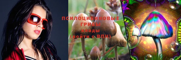 трава Майский