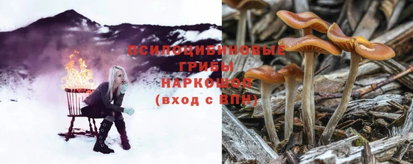 трава Михайловка