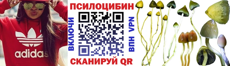 Галлюциногенные грибы Psilocybe  Качканар 
