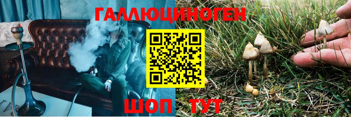 Галлюциногенные грибы Cubensis Качканар