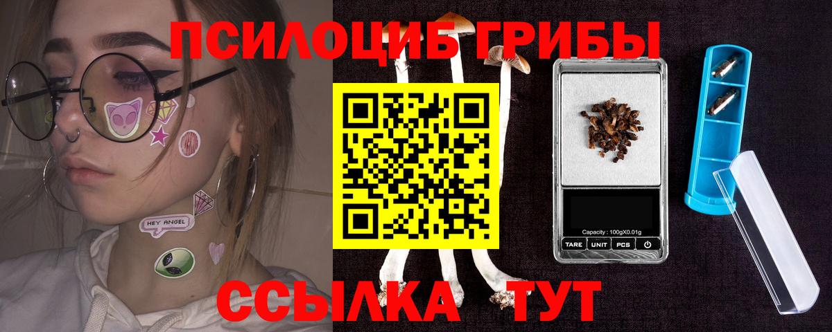 Псилоцибиновые грибы Cubensis  Вход с VPN  где купить наркотик  Галлюциногенные грибы ЛСД  Качканар 